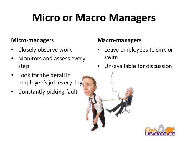 macro management in dota