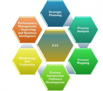 Performance_Management_&_Executive_Information_Systems_(EIS)